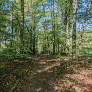 Ermelo – Smutslaan 25B – Foto 39